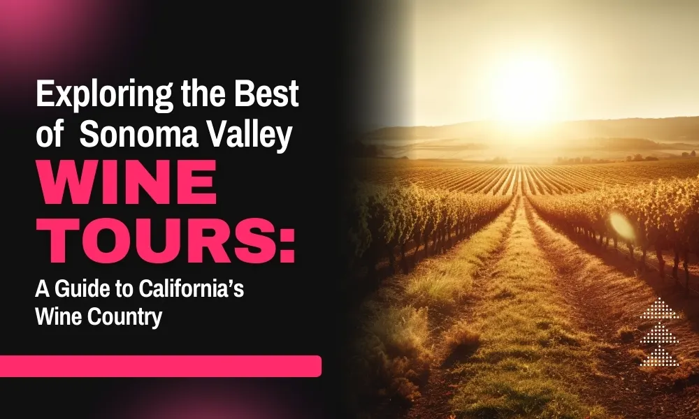 Exploring the Best of Sonoma Valley Wine Tours: A Guide to California’s Wine Country